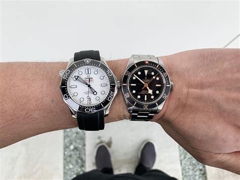 seamaster vs black bay